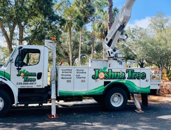 Tree Trimming Cape Coral, FL