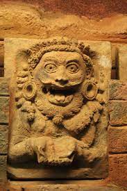 rahu in 11th house