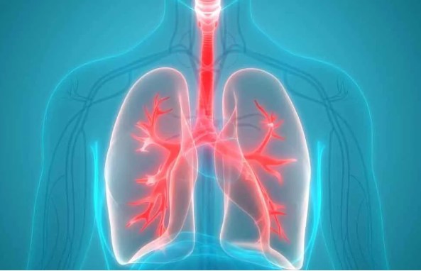 Dos and Don'ts After Stem Cell Treatment for Lung Disease