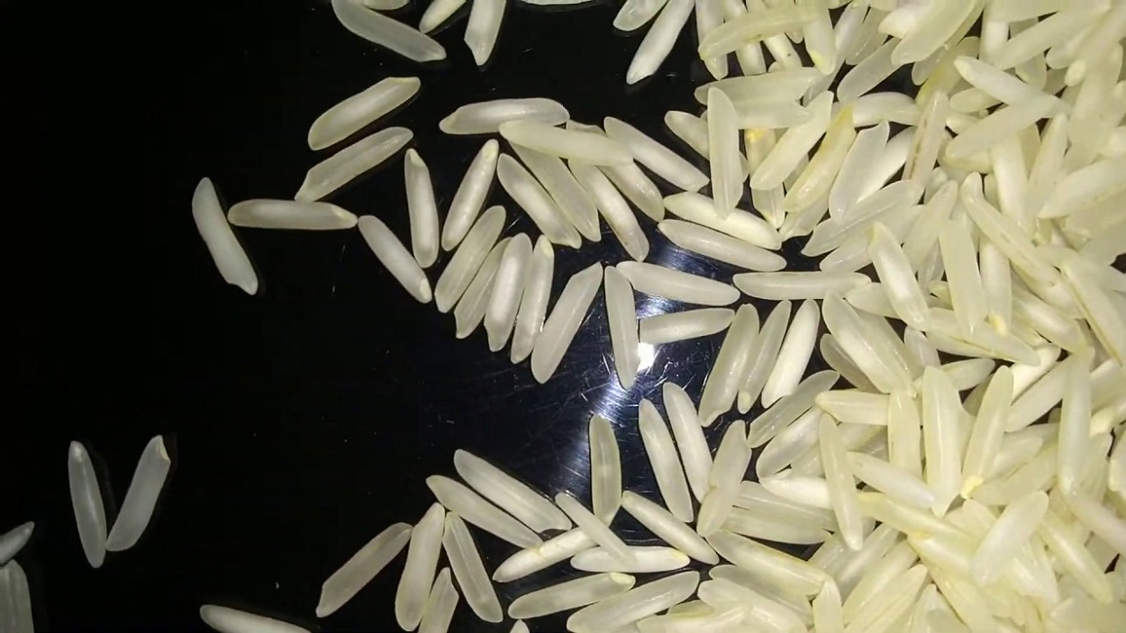 1121 basmati rice | 1121 basmati rice online