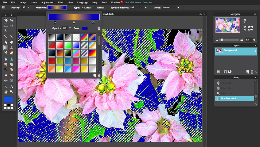 Best Alternatives for Photoshop