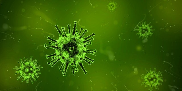 Biotechnology: Zimbabwe Must Learn From China