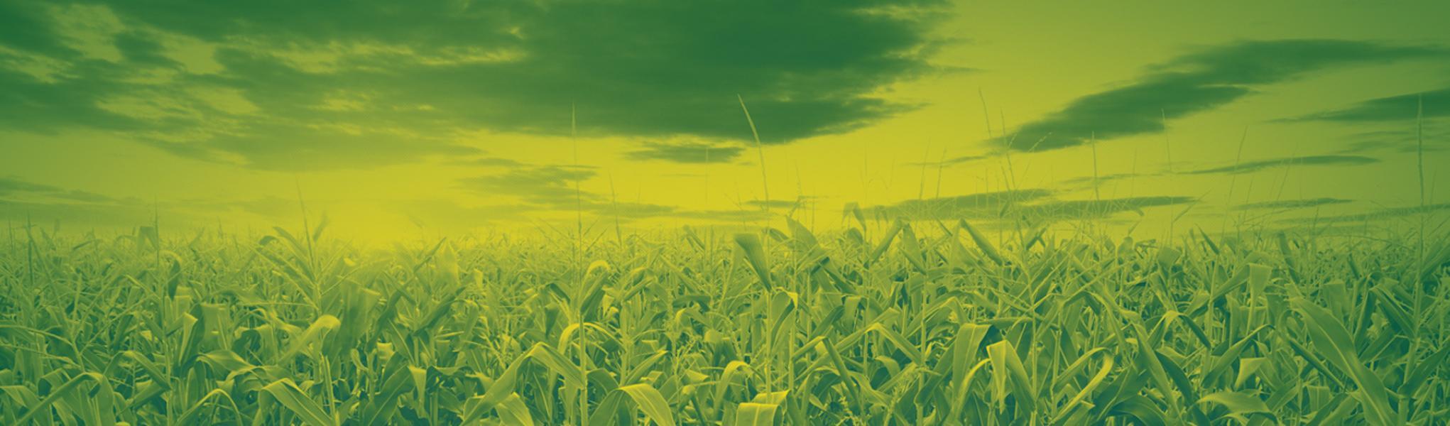 Best Farming & Agricultural Equipment - Agfolks