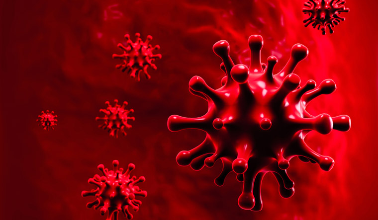 Information related Corona virus or its vaccine