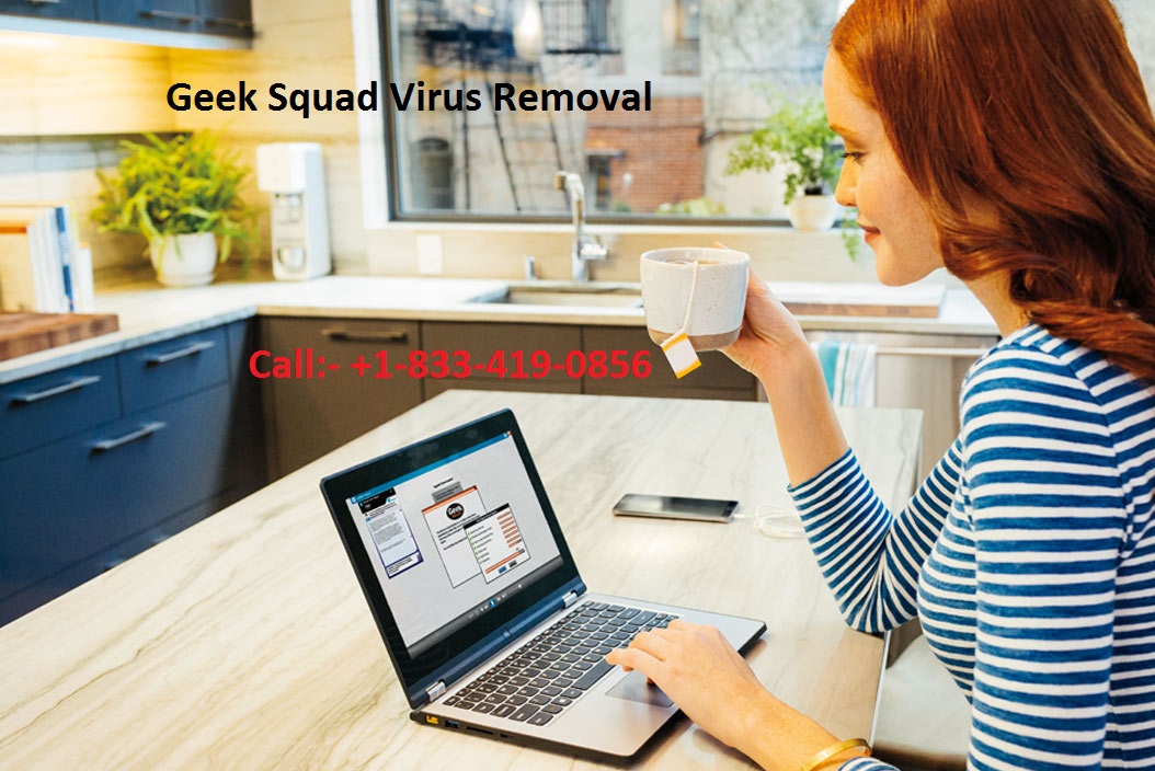Geek Squad Protection Online Customer Service in USA