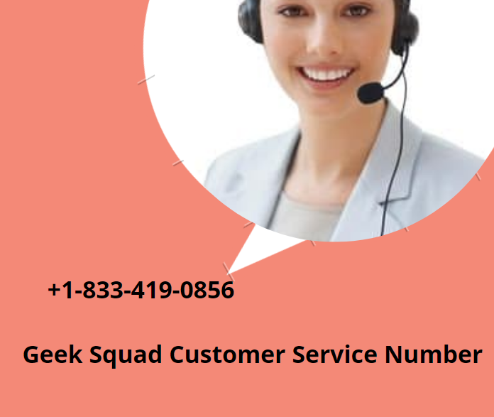 Geek Squad Customer Service Number in the USA