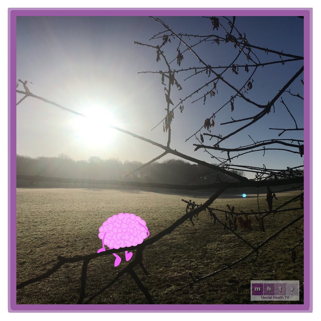 Bereavement in Obstetrics – Abortion