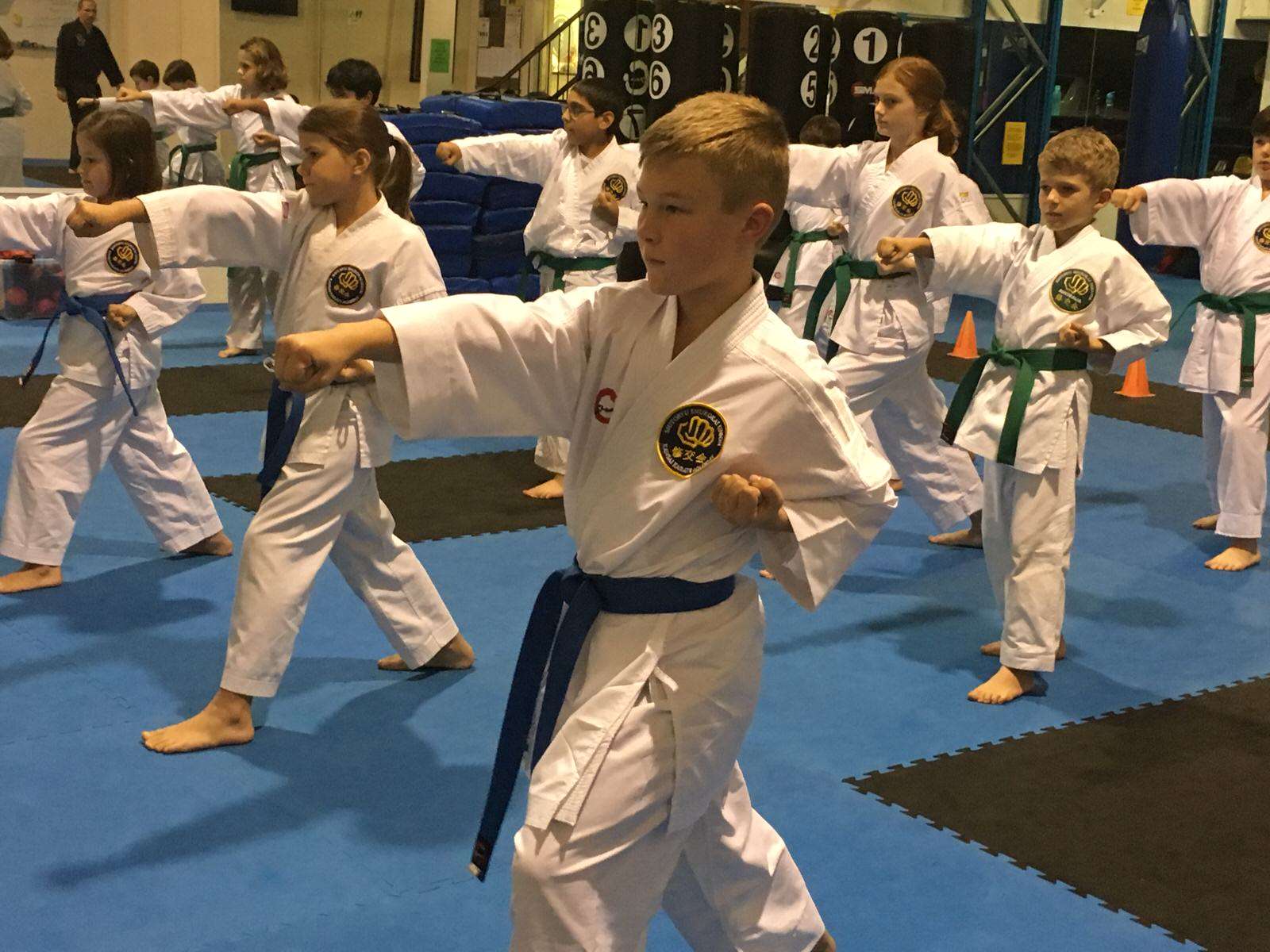 Best Martial Arts Academy in Brisbane
