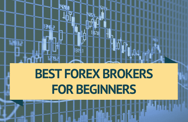 Best Forex Brokers for Beginners