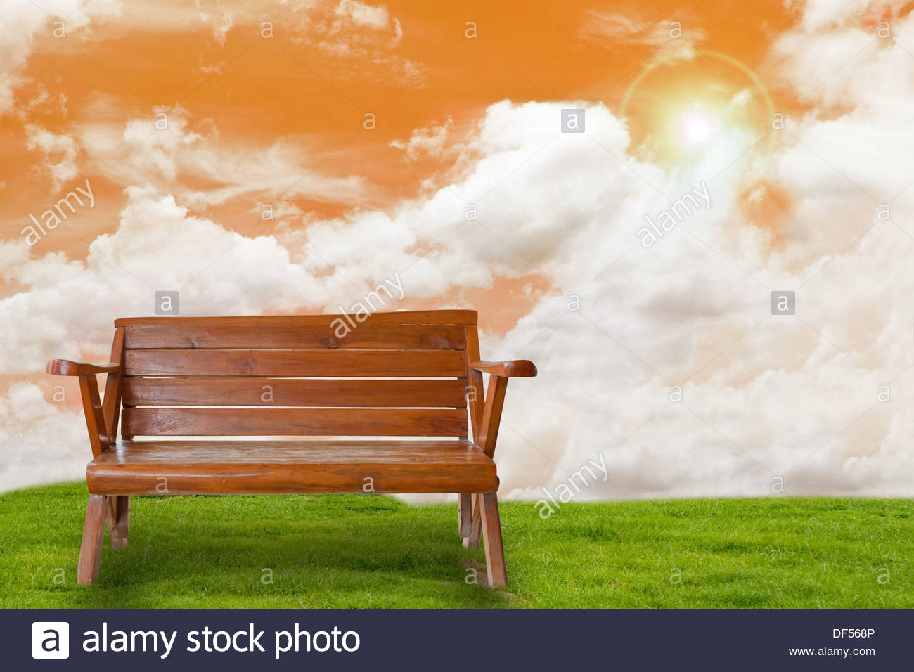 The Process Of Self Growth