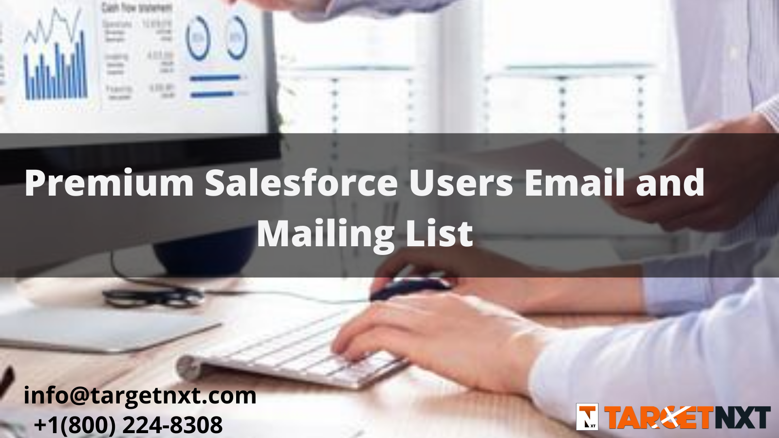 Sales force Users Email and Mailing List