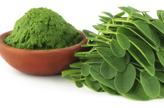 Senna Extract Supplier and Manufacturers - Herbal Creations