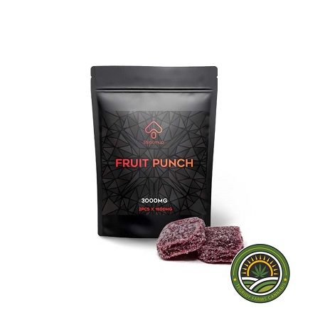 SHROOM UP – 3000MG – 2PC GUMMIES – VARIOUS FLAVOURS