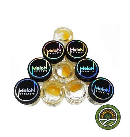 MELON EXTRACTS – PREMIUM LIVE RESIN