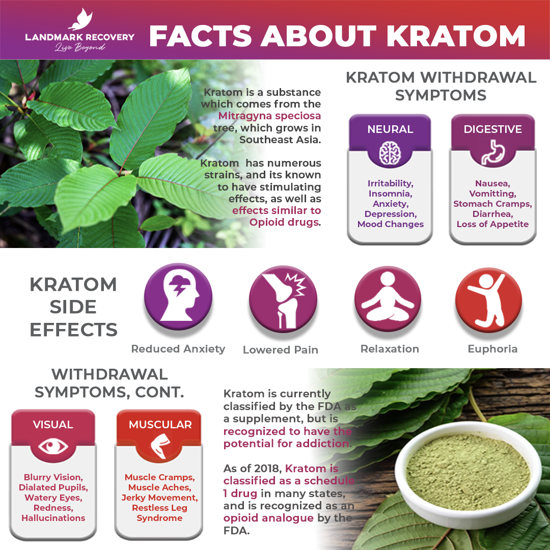 WHAT IS KRATOM?