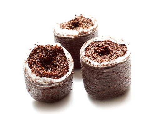 Coir substrate