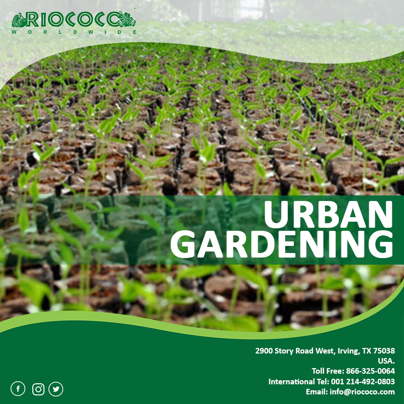 Grow plants with Coconut Fiber Hydroponics to thrive