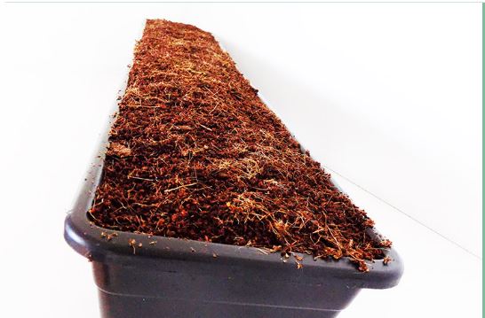 Organic coir growing media industry