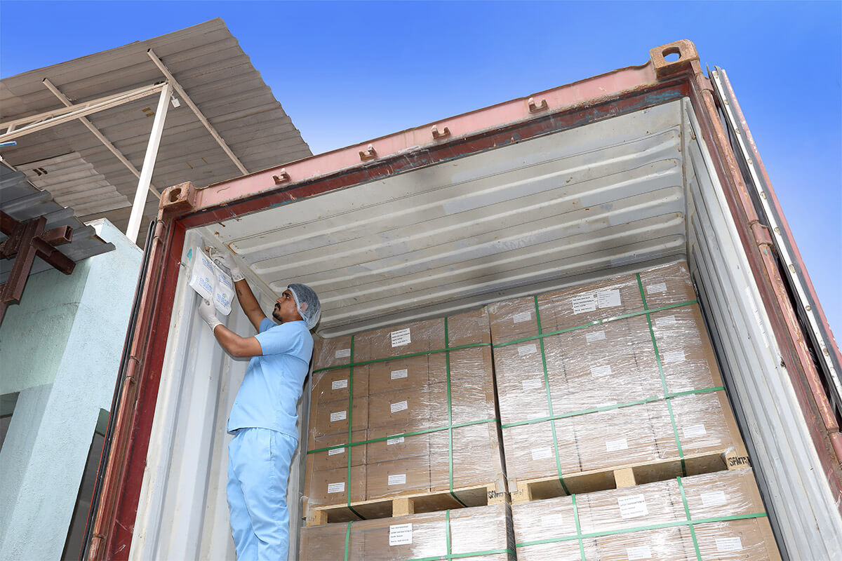 Cargo desiccant bag