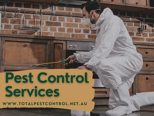 Cockroach Pest Control In Shepparton- My Experience With Total Pest Control