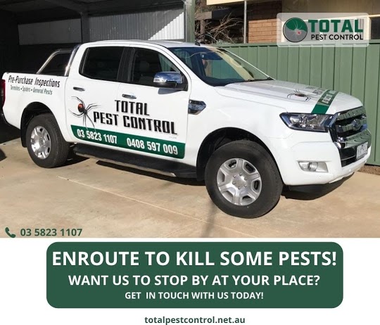 This pest control company covers 4 areas and provides impeccable pest services! I’m amazed!