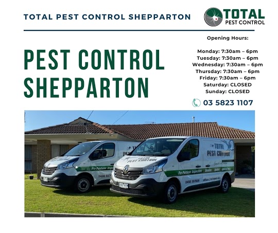 How Total Pest Control Bendigo Helped Me Get Rid Of Ants In My House