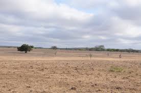 Non Agriculture Land Available In Dholera Industrial Zone, Dhoelra Sir