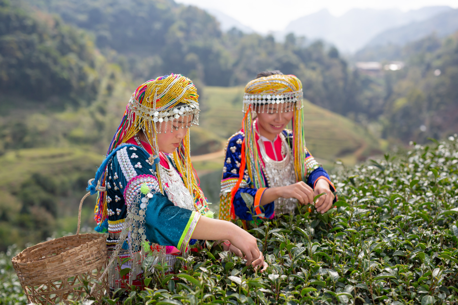 Want to Experience Local Hospitality in Ooty? Try a Homestay!