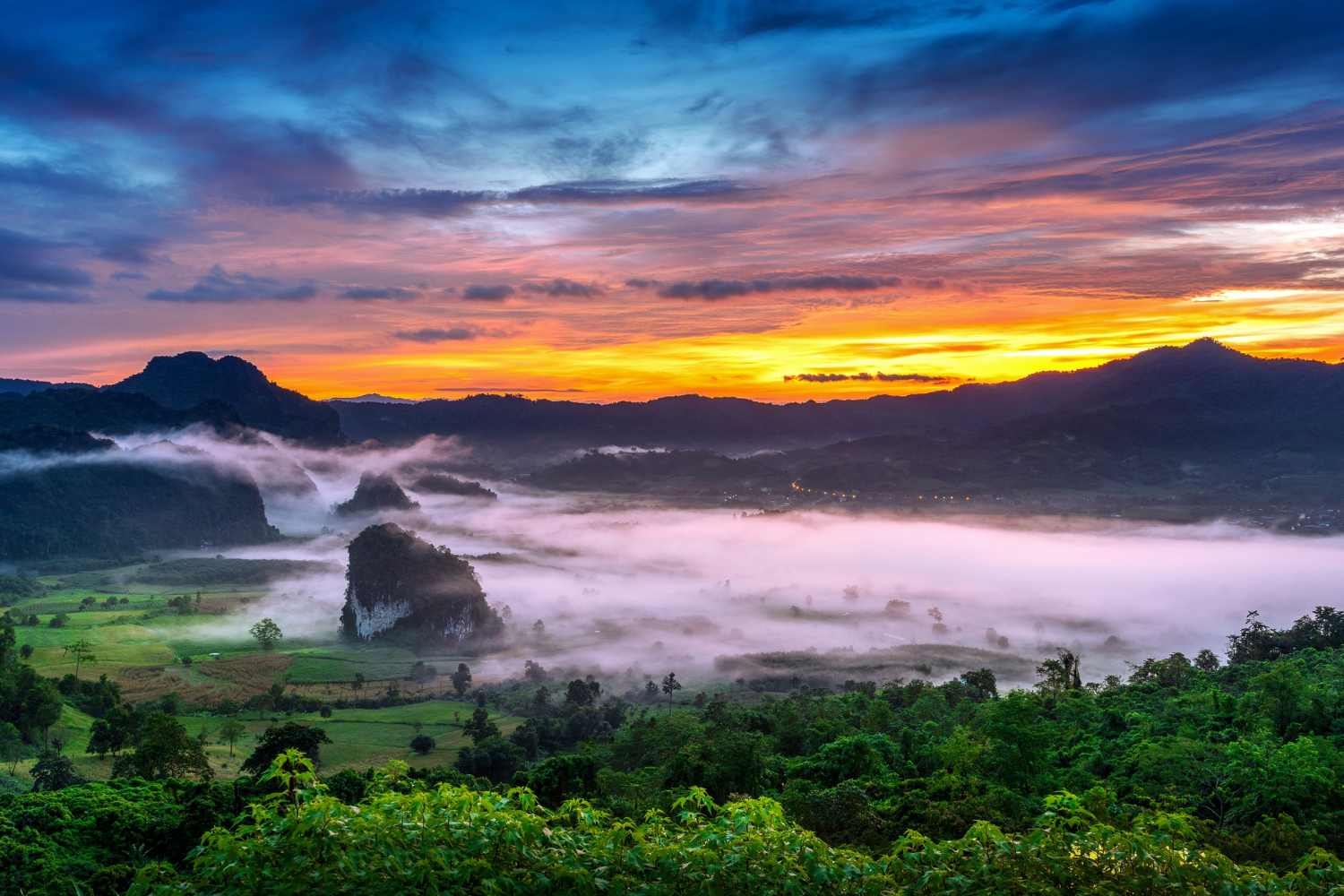 Top 5 Homestays in Ooty for a Memorable Couple's Retreat