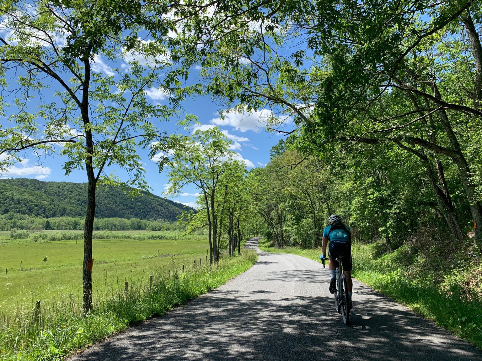 Rockstar 265 The Epic Journey Itself