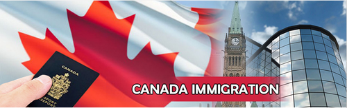 Nir Babani - Expertise in Visa & Immigration Consultants