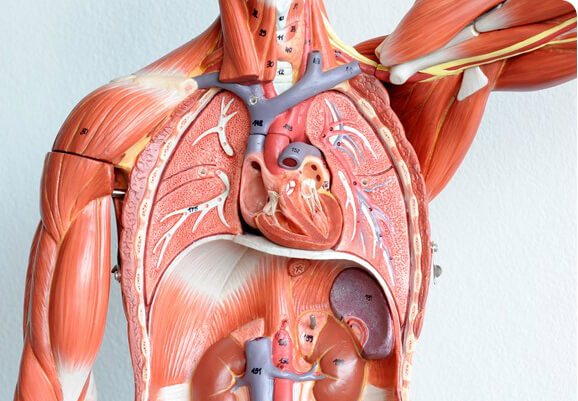 Best Hospital for Cardio Thoracic Surgery in Pune