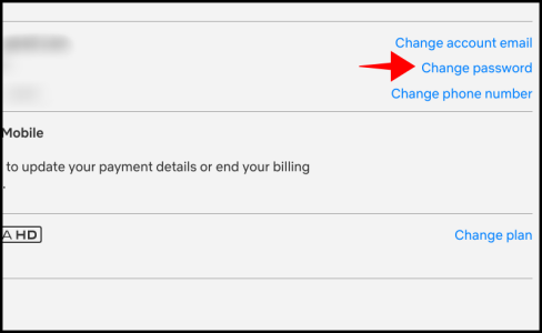 How to Change Netflix Password on iPhone?