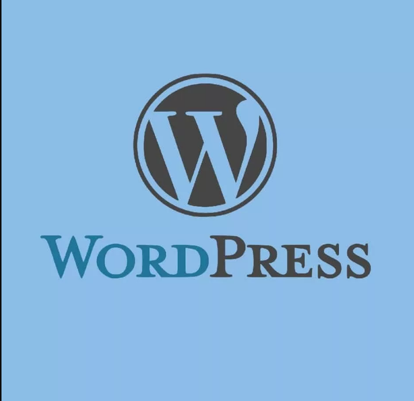 Be vigilant while choosing right theme for WordPress website Design