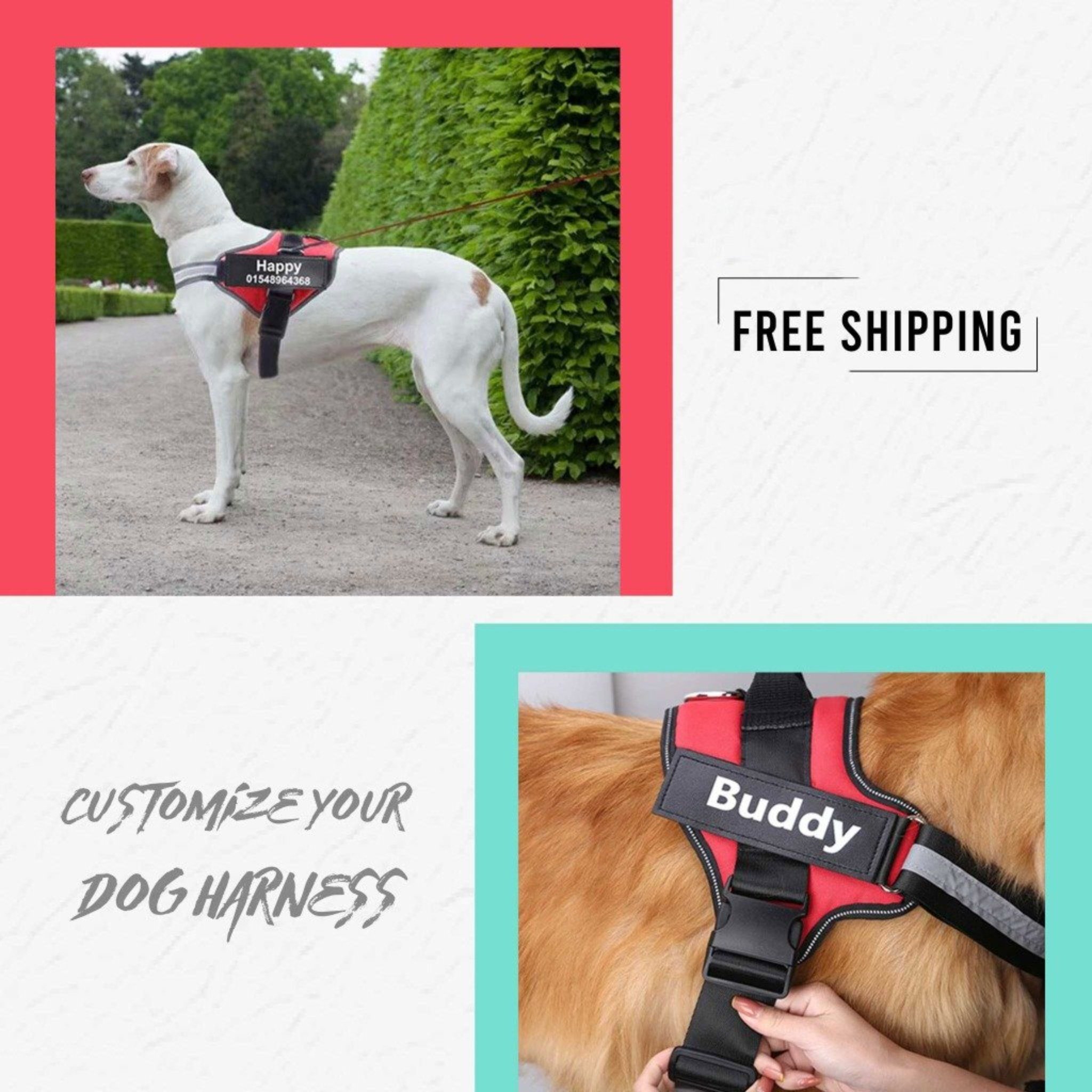 HappyTail Global | Pet Appeal, Toys, Beds & Supplies