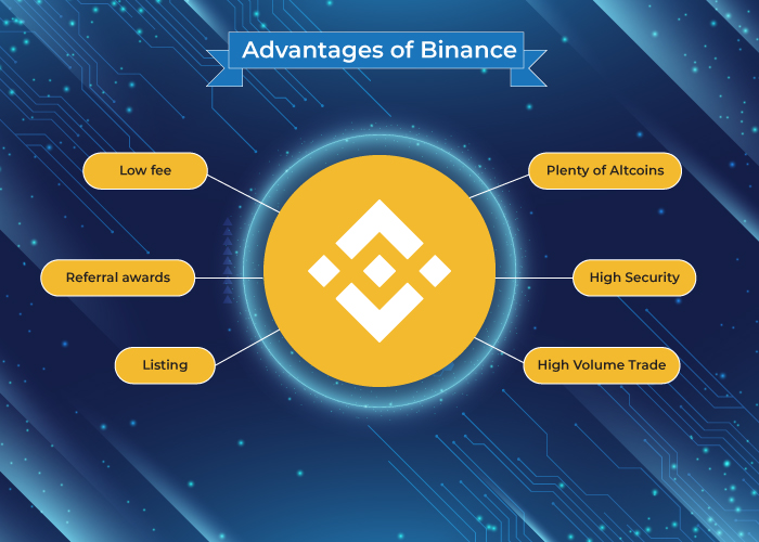 Binance clone from experts