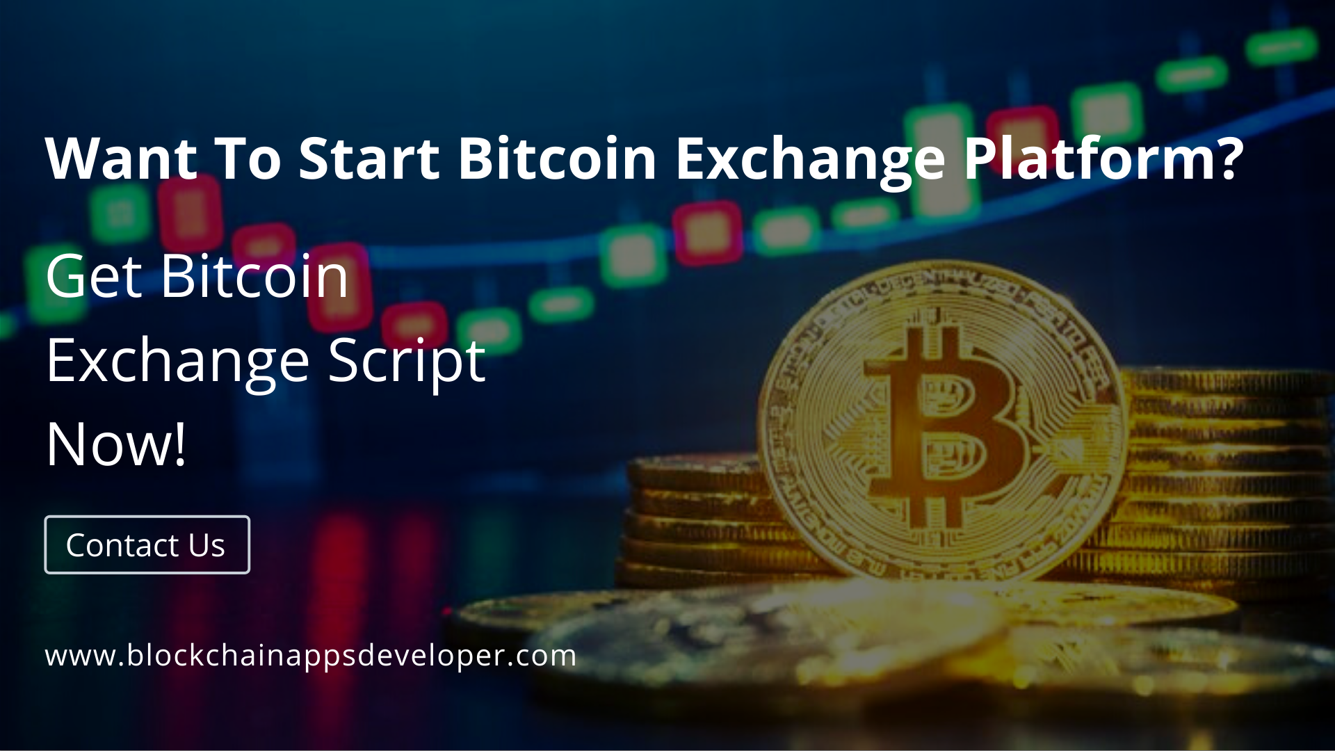 Looking where to purchase a Bitcoin Exchange Website Script?