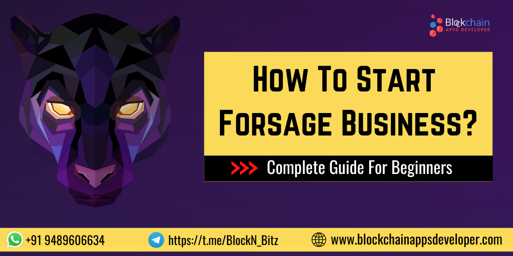 Get A Complete guide to start a Smart Contract MLM like Forsage