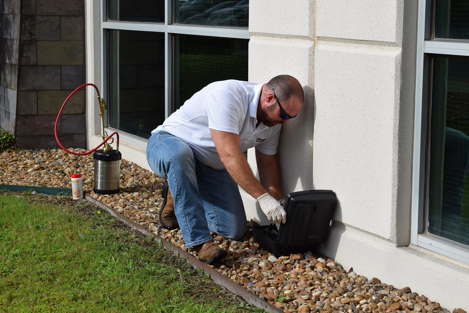 What's Living Rent Free in Your Home and How Residential Pest Control Evicts Them
