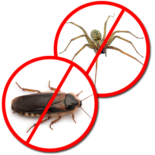 Making a Pest Control Company Choice