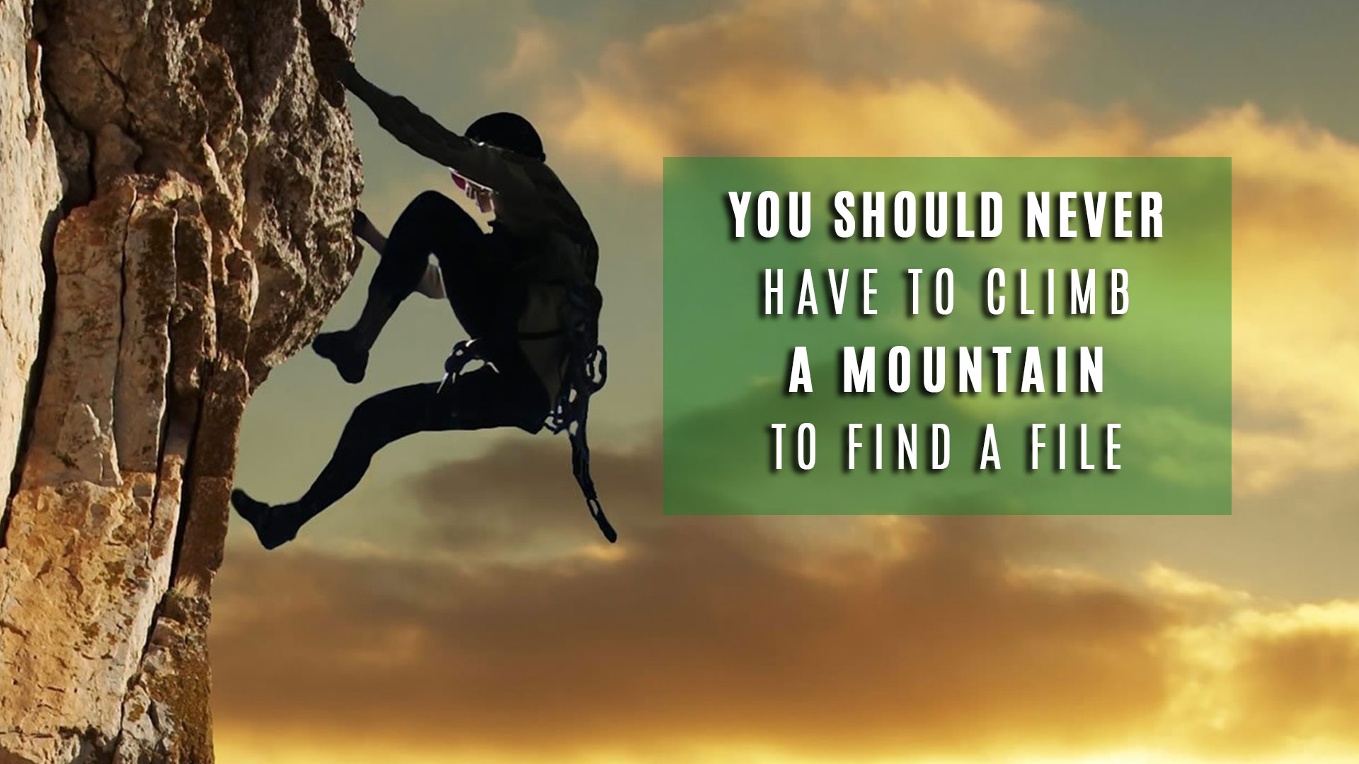 Document Shredding Near Me