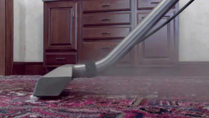 Carpet Cleaning Services at Home | Service Master Restore