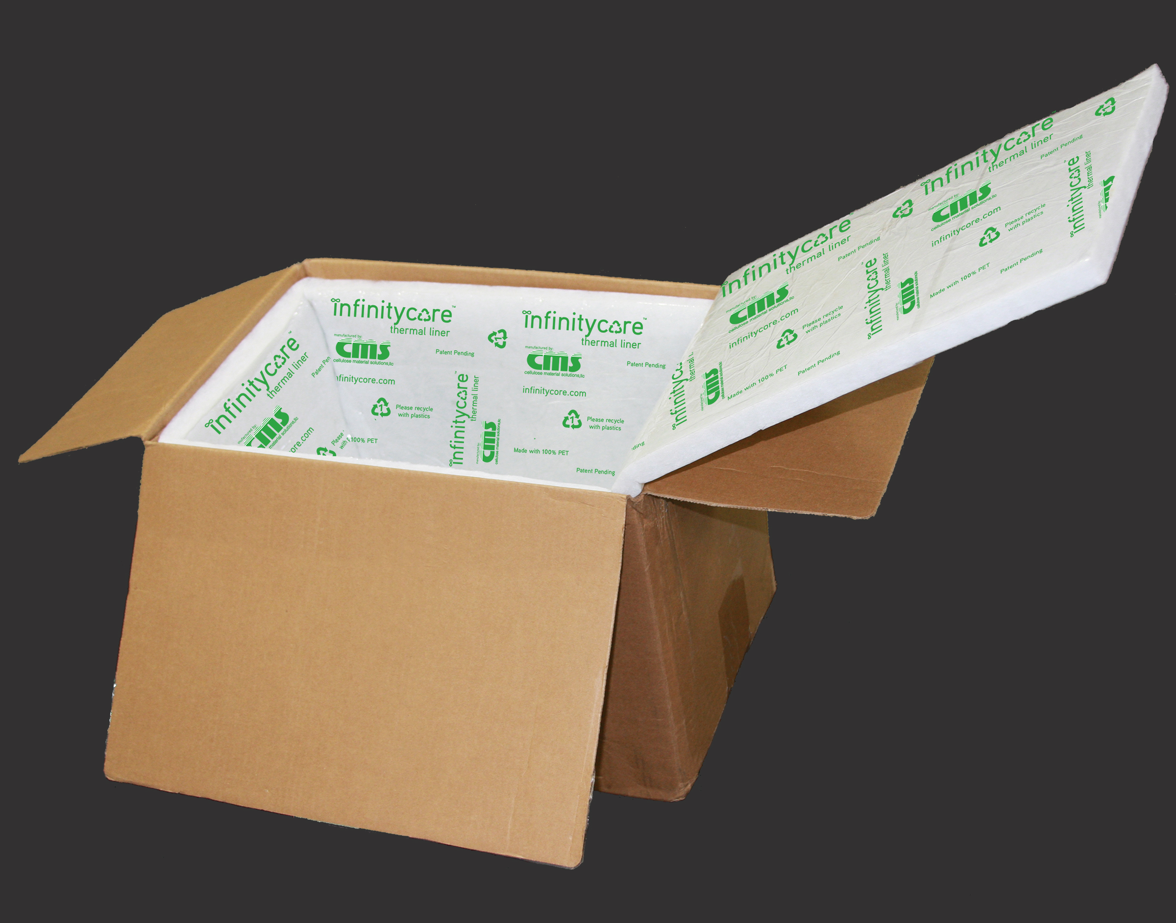 Global Biodegradable Insulated Panel Market Research Report 2020