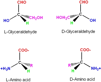 Global L-Amino Acids Market Outlook 2021