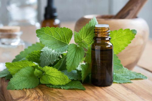 Global Melissa Essential Oil Market Research Report 2020
