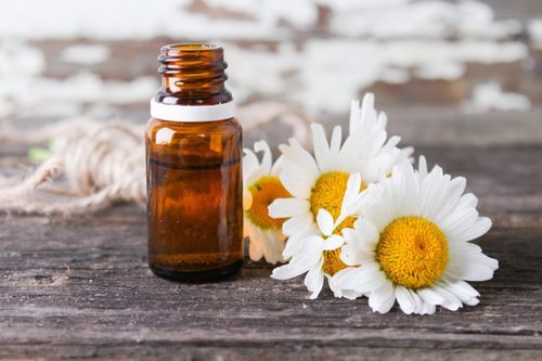 Global Chamomile Oil Market Insights, Forecast to 2026