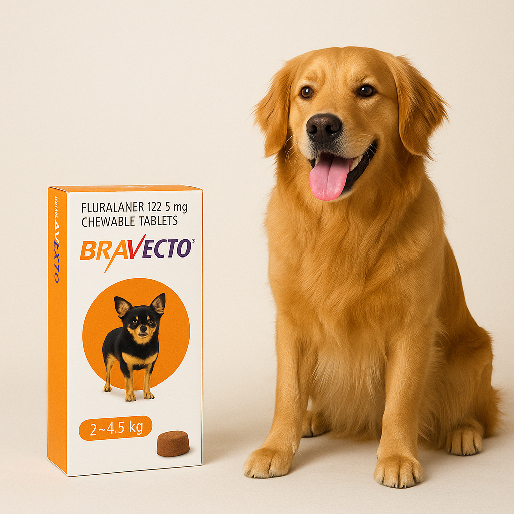 Bravecto for Dogs: Step-by-Step Protection Tips for Flea & Tick Season