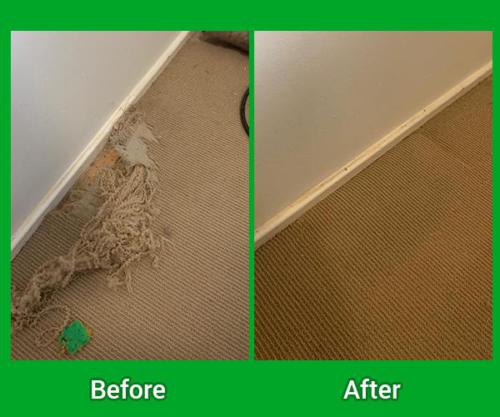 Professional Mattress Cleaning in Adelaide