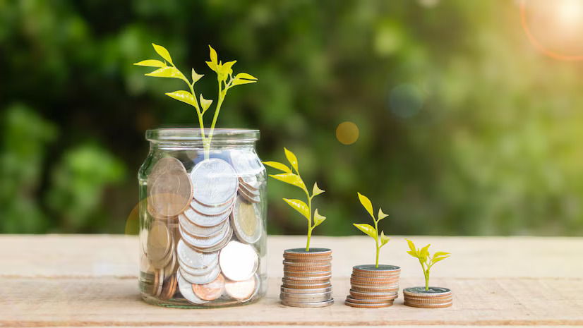 What is the Importance of a Delay Cost Calculator in the Mutual Fund Software for Distributors in India?