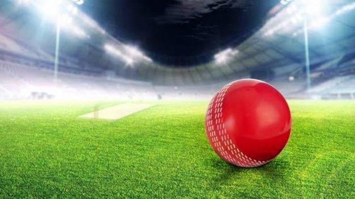How to Win Real Cash Daily Through Fantasy Cricket Platforms